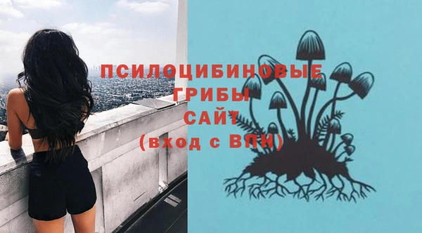 мяу мяу мука Алзамай