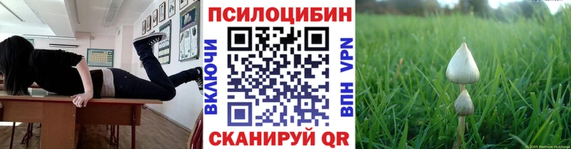 Псилоцибиновые грибы Psilocybe  Ужур 
